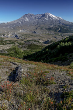 Beautiful Mount St. Helens National Volcanic Monument in Washington State, U.S.A.