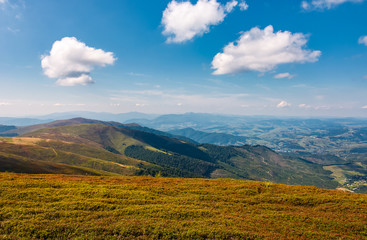 beautiful cloudscape over the mountain meadow