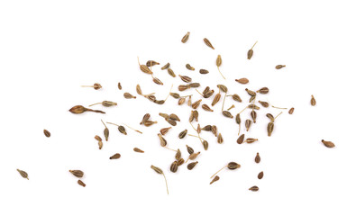 dried anise seeds isolated on white background. Top view