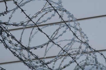Fence with barbed wire