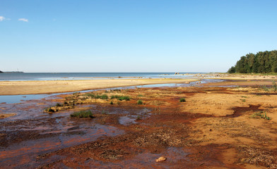  Beach at low tide