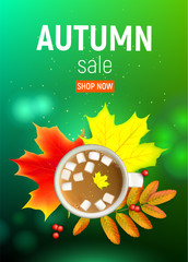 Autumn maple leaf and rowan branches with ashberry and cup of coffee with marshmallow on a green background. Vector illustration