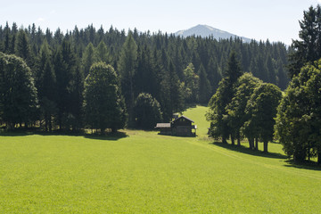 Wiesen und Berge