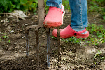 Woman in jeans and rubber shoes digging ground