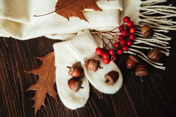 Autumn composition with woolen mittens,scarf,acorns,rowanberry,leaves.wooden background.top view