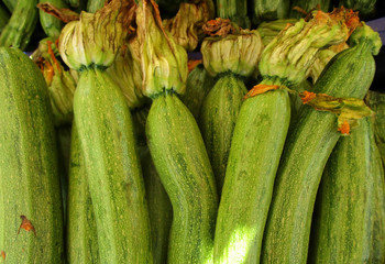 zucchini with flower