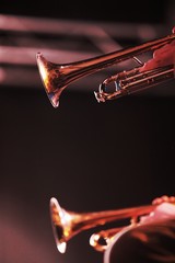 Fototapeta na wymiar Tromba jazz sul palcoscenico