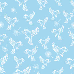 Sparrow pattern. Cute seamless pattern with small birds on blue background in hand drawn style. Vector illustration