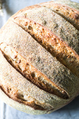 Close-up of Whole grain Sourdough Bread on a gray kitchen towel