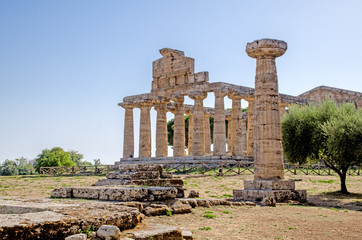 tempio antico con colonna, Paestum 