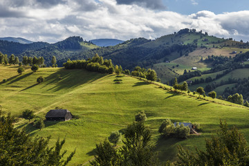 Fototapeta na wymiar Summer alpine landscape with green fields and haystacks, Bran, Transylvania, Romania