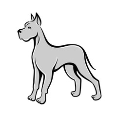 Dog line art drawing Great Dane. Can be used as pet shop logo or emblem of chinese new year 2018