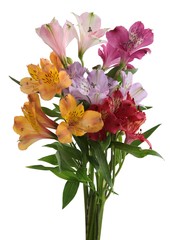 posy of multicolor alstroemeria flowers