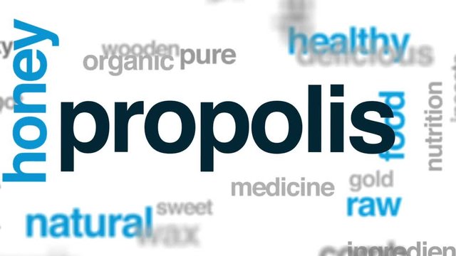 Propolis animated word cloud, text design animation.