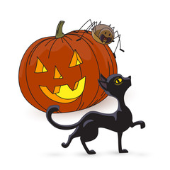 Cute funny characters for Halloween. Black cat, pumpkin, spider. Drawing by hand, isolated on white background. Element of the collection. Vector illustration