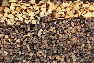 the fresh and old firewood laid in a woodpile
