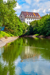 Fototapeta na wymiar Summer cityscape – river surface with blue sky and green trees reflection, swimming duck and old white house with brown roof on background