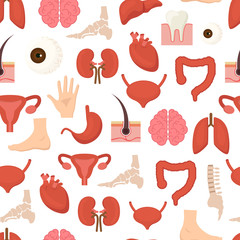 Cartoon Human Internal Organs Background Pattern on a White. Vector