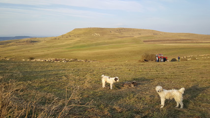 Farmers at work in Romania