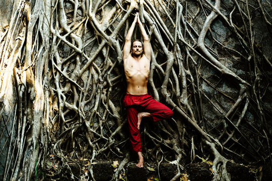 Tree posture
