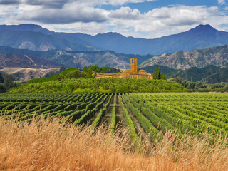 Fototapeta na wymiar Tuscan Manor Overseeing Vineyards with Rows of grapes from a Hill on a Clear Summer Day