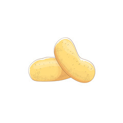 vector funny cartoon cute brown potatoes set isolated on white background.
