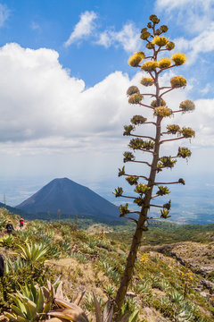 Izalco Volcano, El Salvador