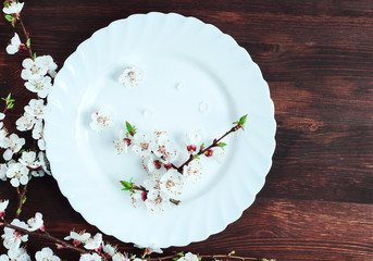 empty round white plate
