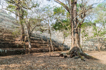 Ruins at the archaeological site Copan, Honduras
