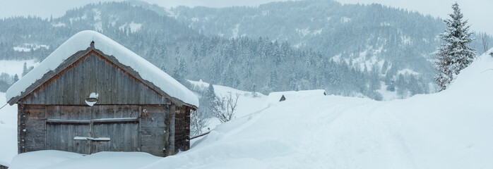 Winter Carpathian Mountains landscape. © wildman