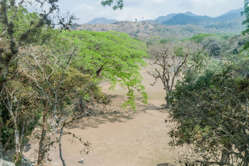 Archaeological site Copan overgrown by tress, Honduras