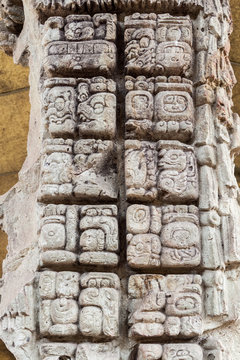 Detail Of Mayan Hieroglyphs At The Archaeological Site Copan, Honduras