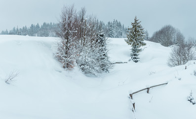 Winter Carpathian Mountains landscape.