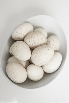 organic turkey eggs