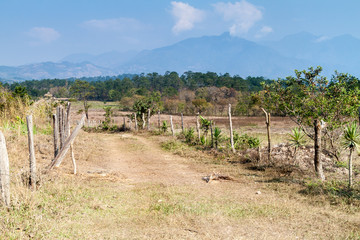 Fototapeta na wymiar Small rural road in Honduras