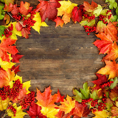Autumn background with leaf on a wood