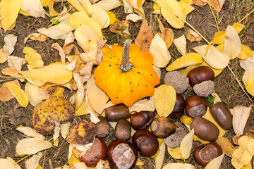 Dekoration im Herbst und an halloween