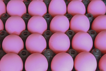 preserved egg in plastic panels for sale, pink egg