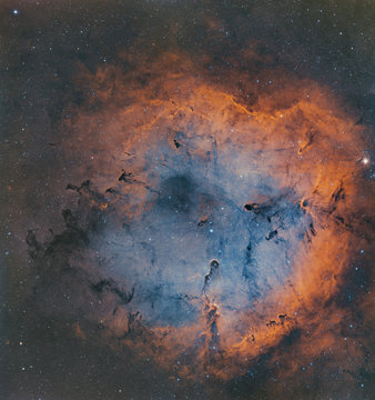 A creative composition of the Elephant Trunk nebula IC1396