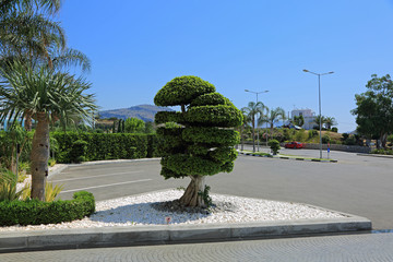 Piękny parking przed  hotelem w Grecji. - obrazy, fototapety, plakaty