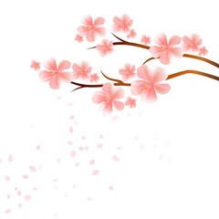 Branches of Sakura with Pink flowers and flying petals isolated on White background. Apple-tree flowers. Cherry blossom. Vector
