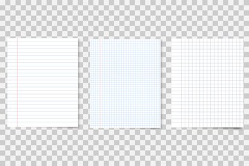 Set of realistic notebook papers. Different school sheets