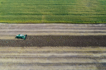 Harvester harvests a crop in a field next to a green field with corn. Ukraine. Aerial view.