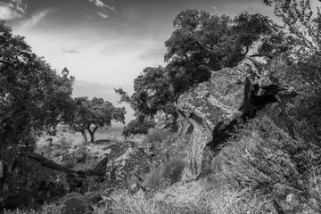 Landscape in the natural area of Valcorchero, near Plasencia. Extremadura. Spain.