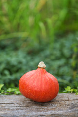 Orange pumpkin on wooden table, Halloween decoration