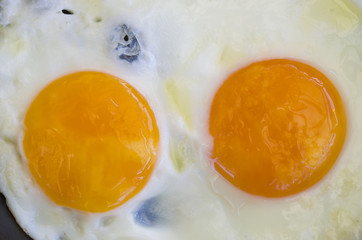 fried egg on wooden table