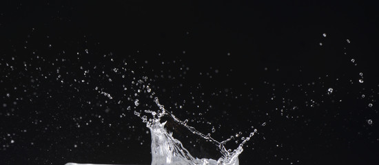 Fototapeta premium Agua en movimiento sobre fondo negro
