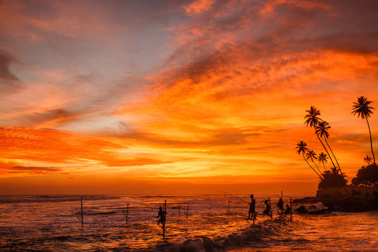 Sunset stilt fishing, Sri lanka