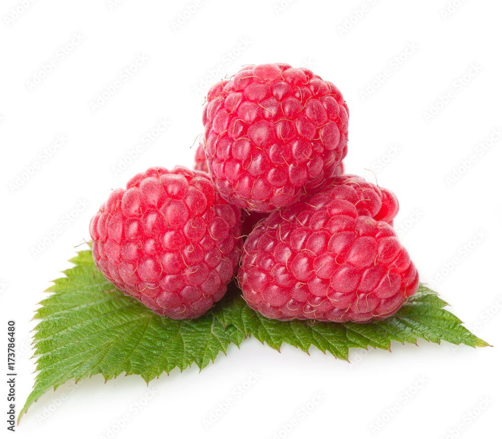 Wall mural raspberry with green leaves isolated on white background - Wall murals
