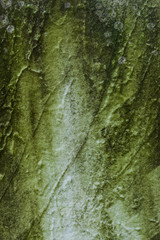 Texture of an old tombstone to be used as an overlay, background, or wallpaper